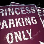 Reflective Aluminum Sign - Reflective Lady Parking Only Aluminum Sign